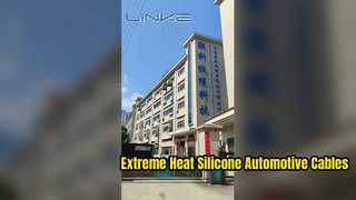 Dongguan Lianke केबल प्रौद्योगिकी कं, लिमिटेड का कारखाना परिचय